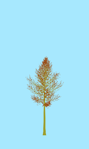 Treee