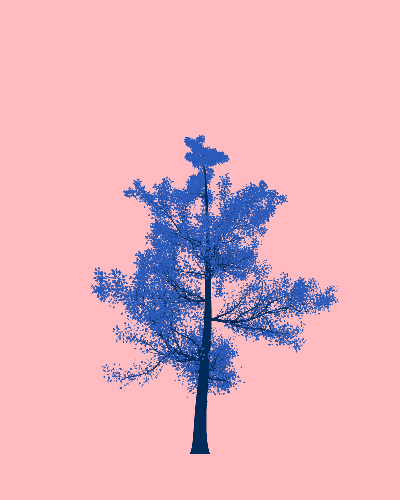 Treee