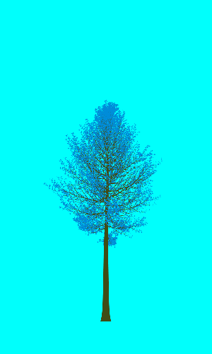 Treee