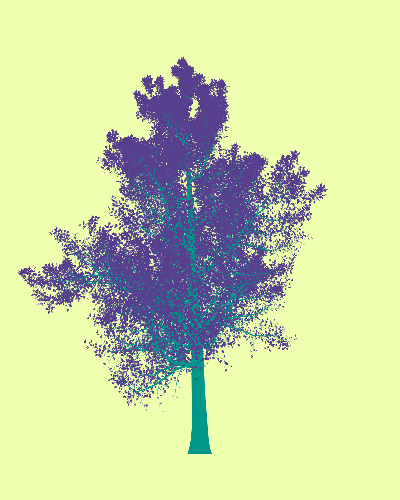 Treee