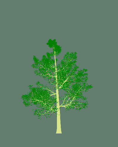 Treee