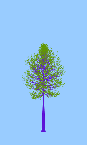 Treee