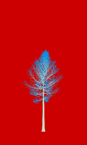 Treee
