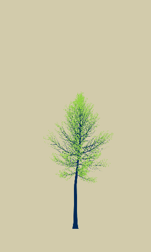 Treee