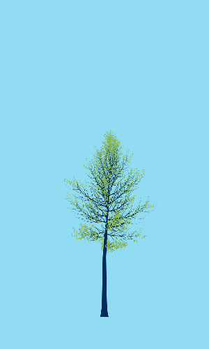 Treee