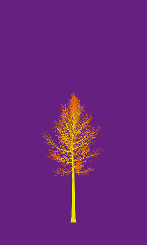 Treee