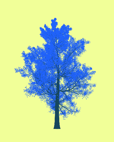 Treee