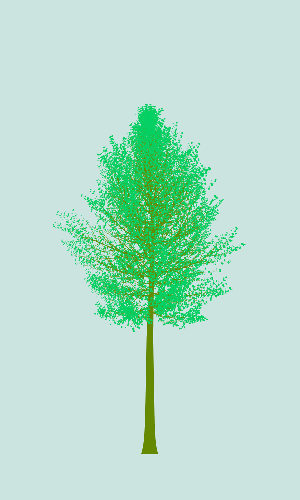 Treee