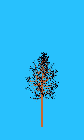 greenshift tree