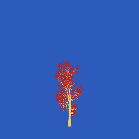 greenshift tree