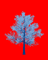 greenshift tree
