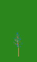 greenshift tree