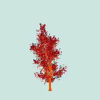 greenshift tree