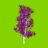 greenshift tree