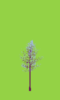 greenshift tree