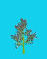 greenshift tree