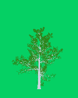greenshift tree