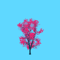 greenshift tree