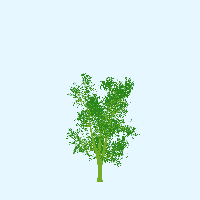 greenshift tree