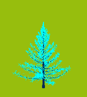 greenshift tree