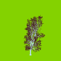 greenshift tree