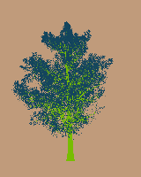 greenshift tree