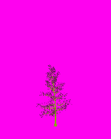 greenshift tree