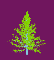 greenshift tree