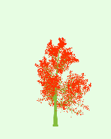 greenshift tree