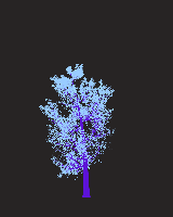 greenshift tree