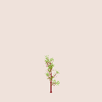 greenshift tree
