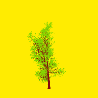 greenshift tree