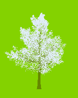 greenshift tree