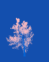 greenshift tree