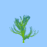 greenshift tree