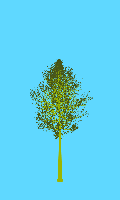 greenshift tree