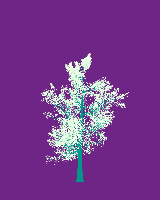 greenshift tree