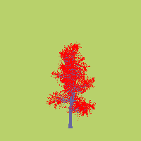 greenshift tree