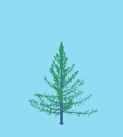greenshift tree