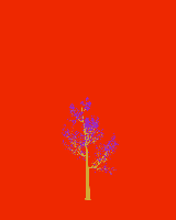 greenshift tree