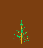 greenshift tree