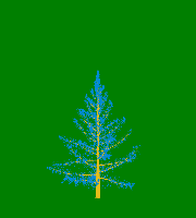 greenshift tree