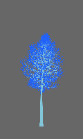 greenshift tree
