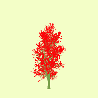 greenshift tree