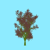 greenshift tree