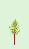 greenshift tree