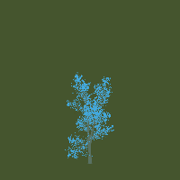 greenshift tree