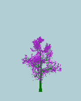 greenshift tree