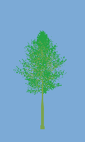 greenshift tree