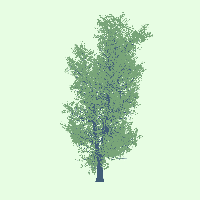 greenshift tree